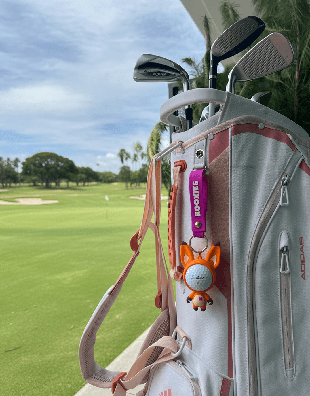 Fairway Fox 3